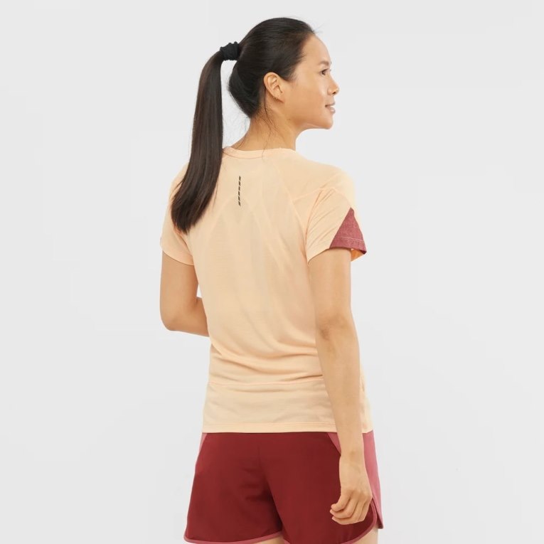 Salomon Cross Run Short Sleeve Women's T-Shirts Apricot | CA 18P46